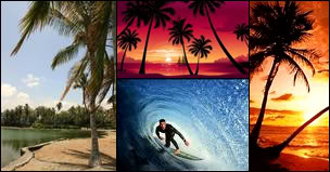 Tropical Graphics