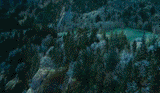 Preview of Image - Code is Located Below